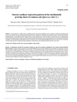 Báo cáo lâm nghiệp: 