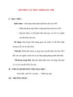 Giáo án Sinh Học lớp 12 Ban Tự Nhiên: ĐỘT BIẾN CẤU TRÚC NHIỄM SẮC THỂ. ppsx