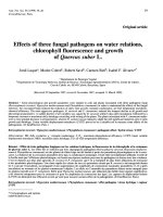 Báo cáo khoa học: 