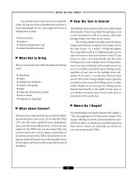 English comprehesion 4 pptx