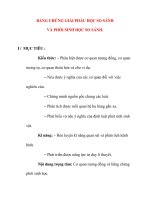 Giáo án Sinh Học lớp 12 Ban Tự Nhiên: BẰNG CHỨNG GIẢI PHẪU HỌC SO SÁNH VÀ PHÔI SINH HỌC SO SÁNH. pps