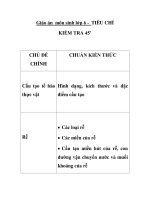 Giáo án môn sinh lớp 6 - TIÊU CHÍ KIỂM TRA 45’ pps