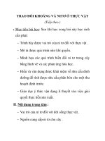 TRAO ĐỔI KHOÁNG VÀ NITƠ Ở THỰC VẬT (Tiếp theo ) pot