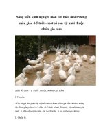 Sáng kiến kinh nghiệm môn tìm hiểu môi trường mẫu giáo 4-5 tuổi – một số con vịt nuôi thuộc nhóm gia cầm pot