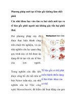 Phương pháp mới tạo tế bào gốc không làm chết phôi ppsx