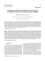 Báo cáo lâm nghiệp: