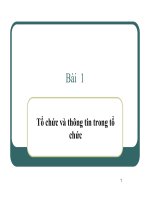 Bài 1: Tổ chức và thông tin trong tổ chức pps