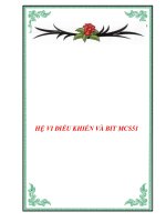 HỆ VI ĐIỀU KHIỂN VÀ BIT MCS51 pdf