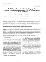 Báo cáo lâm nghiệp: 