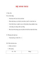 Giáo án Sinh học lớp 9 : Tên bài dạy : HỆ SINH THÁI potx