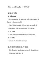 Giáo án sinh học lớp 6 - ÔN TẬP pptx