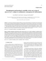 Báo cáo lâm nghiệp: 