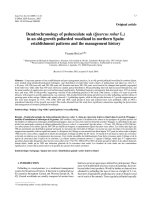 Báo cáo lâm nghiệp: 