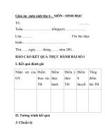 Giáo án môn sinh lớp 6 - BÁO CÁO KẾT QUẢ THỰC HÀNH BÀI SỐ pps