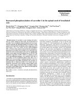 Báo cáo khoa học: 