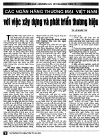 Các ngân hàng thương mai việt nam với việc xây dựng và phát triển thương hiệu pps