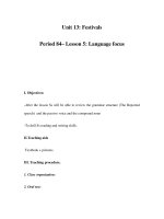 Unit 13: Festivals Period 84– Lesson 5: Language focus pptx
