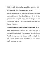 8 loài vi sinh vật xâm hại nguy hiểm nhất thế giới pps