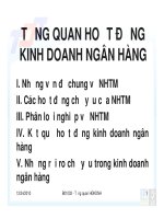 TỔNG QUAN HOẠT ĐỘNG KINH DOANH NGÂN HÀNG ppsx