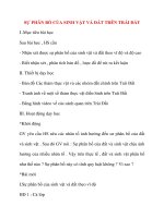 Giáo án Địa Lý lớp 10: SỰ PHÂN BỐ CỦA SINH VẬT VÀ ĐẤT TRÊN TRÁI ĐẤT docx