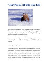 Giá trị của những câu hỏi pps