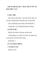 Giáo án sinh học lớp 6 - Bài 6: QUAN SÁT TẾ BÀO THỰC VẬT ppt