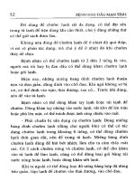 International Classification of Headache Disorders - Đau Đầu Mãn Tính part 6 potx