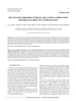 Báo cáo lâm nghiệp: 