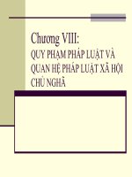 Chương VIII: QUY PHẠM PHÁP LUẬT VÀ QUAN HỆ PHÁP LUẬT XÃ HỘI CHỦ NGHÃ pps