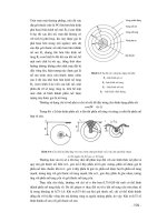 XÂY DỰNG NỀN ĐƯỜNG Ô TÔ part 6 ppsx