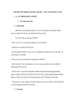 Sáng kiến kinh nghiệm luật dân sự đại học – bài 5 các hình thức sở hữu doc