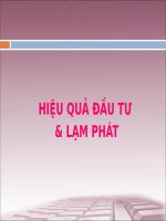 HIỆU QUẢ ĐẦU TƯ & LẠM PHÁT doc