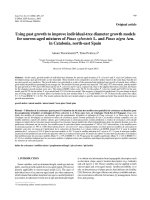 Báo cáo lâm nghiệp: 