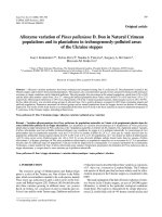 Báo cáo lâm nghiệp: 