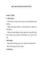 HỆ THẦN KINH SINH DƯỠNG ppt