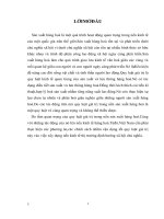 Tiểu luận - Quy luật giá trị potx