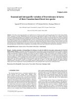 Báo cáo lâm nghiệp: 