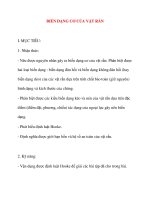 Giáo án Vật Lý lớp 10: BIẾN DẠNG CƠ CỦA VẬT RẮN ppt