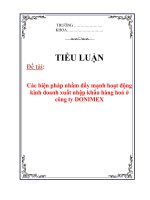 Tiểu luận: Các biện pháp nhằm đẩy mạnh hoạt động kinh doanh xuất nhập khẩu hàng hoá ở công ty DONIMEX ppt