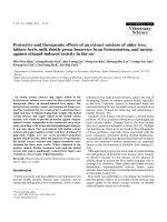 Báo cáo khoa học: 