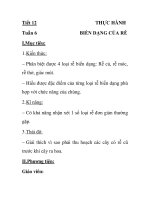 Tiết 12 Tuần 6 I.Mục tiêu: 1. Kiến thức: THỰC HÀNH BIẾN DẠNG CỦA RỄ pdf