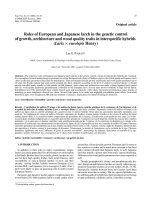 Báo cáo lâm nghiệp: 