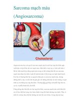 Sarcoma mạch máu (Angiosarcoma) doc