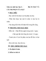 Giáo án sinh học lớp 6 - CÁC BỘ PHẬN CỦA HẠT ppsx