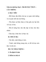 Giáo án sinh học lớp 6 - Bài 40: HẠT TRẦN – CÂY THÔNG pdf