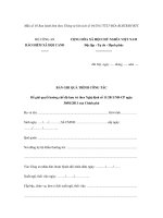 MẪU BẢN GHI QUÁ TRÌNH CÔNG TÁC Để giải quyết hưởng chế độ hưu trí theo Nghị định số 11/2011/NĐ-CP docx