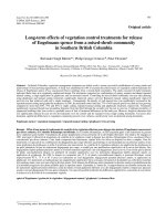 Báo cáo lâm nghiệp: