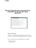 Giáo trình hình thành quy trình phân tích kỹ thuật IGRP với cấu trúc lệnh replay ipprotocols p1 doc