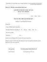 Mẫu Báo cáo thực hiện giao dịch ký quỹ doc