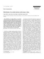 Báo cáo khoa học: 